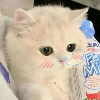 emo了